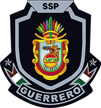 Secretaría de Seguridad Pública